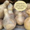 This shows several dried gourds out of the garden. 